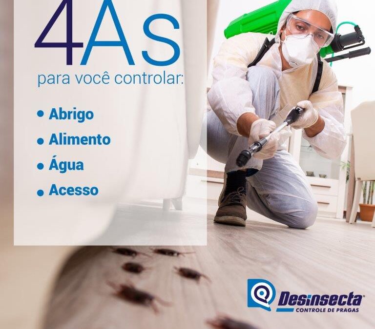 4 ÁS para você controlar