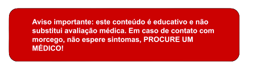 se você foi arranhado por um morcego, melhor procurar um médico