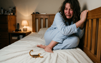 Escorpião em casa: o que fazer, como identificar e quando chamar ajuda?